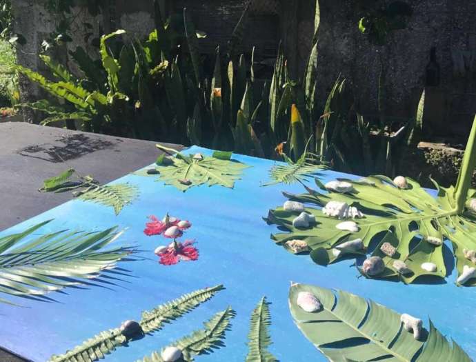 来間島島内を散策しながら採取した草花