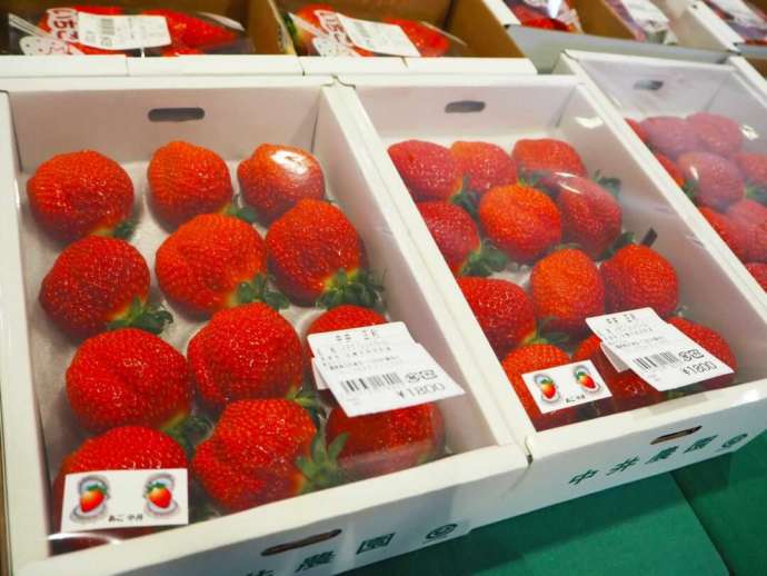 鳥羽マルシェ内直売所に並ぶイチゴ