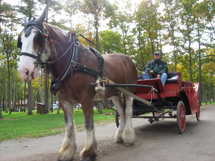 ノーザンホースパークの馬車