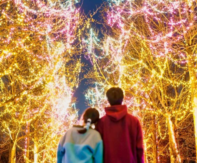 「とっとり花回廊」で冬のイルミネーションを満喫するカップルの後ろ姿