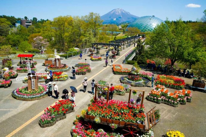 色とりどりの花で彩られた春の「とっとり花回廊」の西館テラス