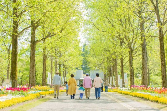春のとっとり花回廊を楽しむ家族連れの後ろ姿