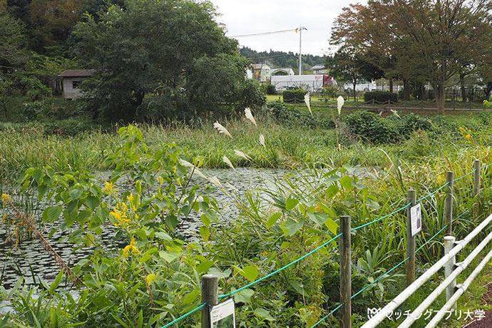 園内帰り道