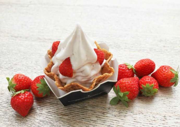 道の駅で人気ナンバーワンのいちごソフトクリーム