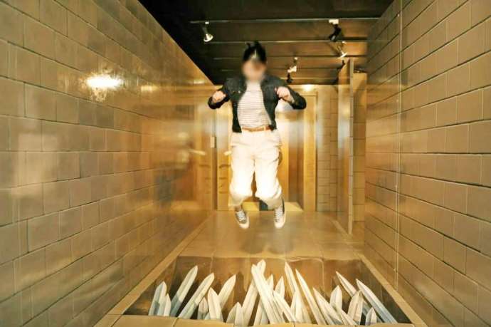 栃木県日光市の「とりっくあーとぴあ日光」にある作品・落とし穴