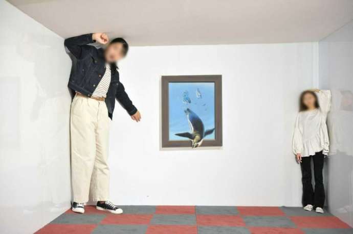 栃木県日光市の「とりっくあーとぴあ日光」にあるエイムズの部屋