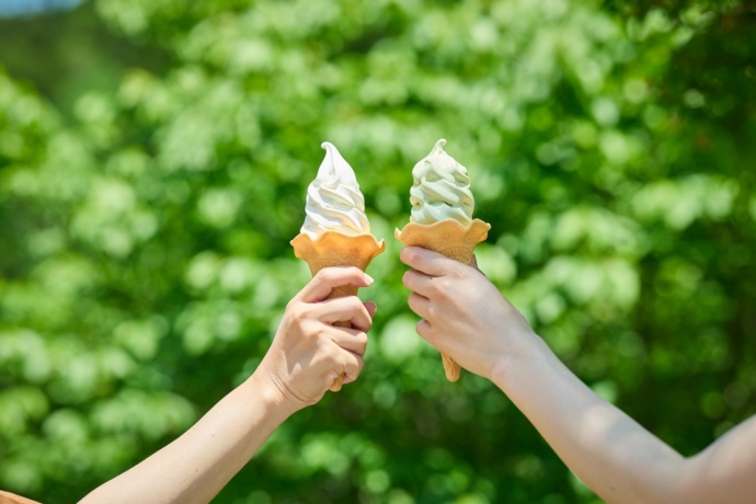 「道の駅 つぐ高原グリーンパーク」内の「フードスペース」で販売される「トマトソフト」と「田峯茶ソフト」