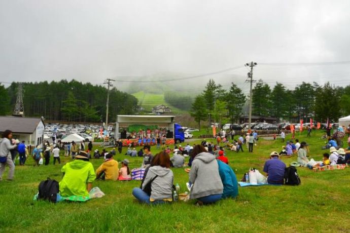 毎年6月中旬~7月上旬に開催される「湯の丸高原つつじ祭」の様子