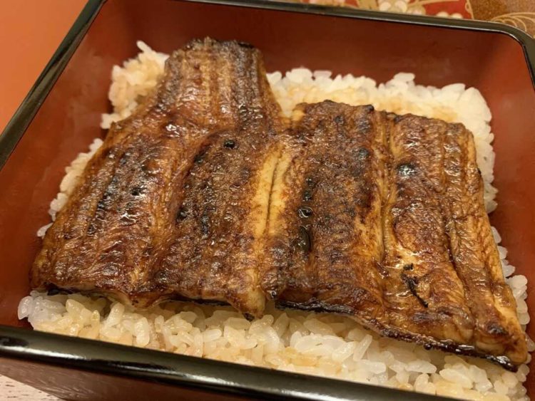 旗の台 うなぎ上松の鰻重 上