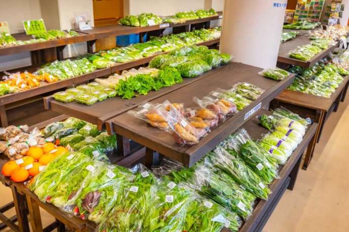 道の駅なごみの野菜直売コーナーの様子
