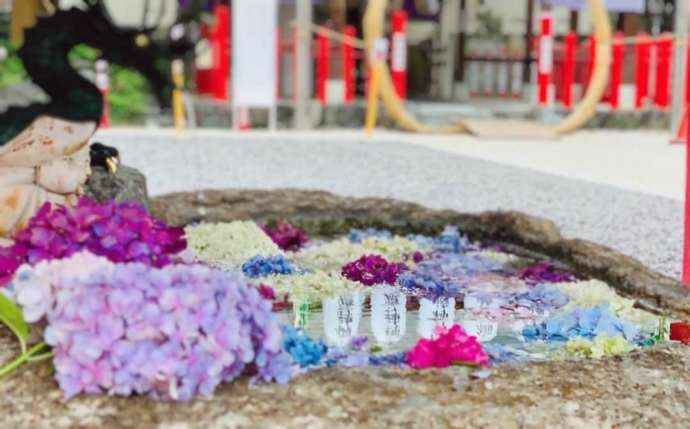 「別小江神社」の手水舎(6月)