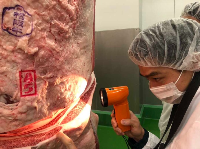 焼肉DINING大和 鎌取店で使用する黒毛和牛の買い付けの様子