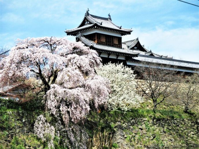 郡山城跡の外観