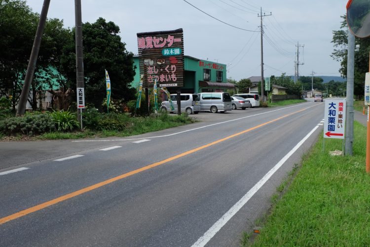 大和栗園におけるカップルデートでのおすすめプランなどあれば教えてください