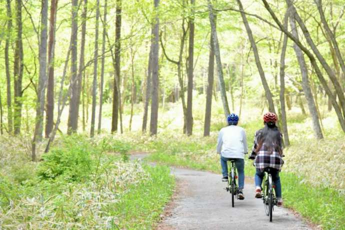 Eバイクで山道を走るカップルの後ろ姿