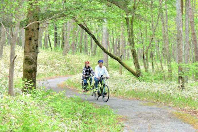 山の中を電動アシスト自転車で走るカップルの写真