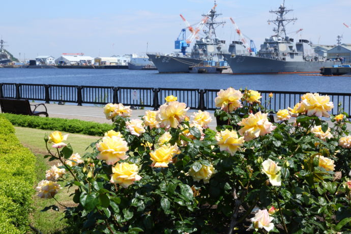 横須賀市にある「ヴェルニー公園」の風景
