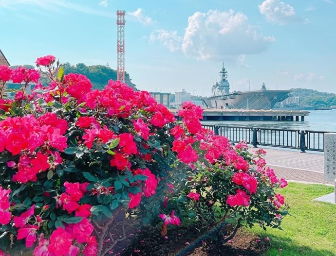 横須賀市にある「ヴェルニー公園」の風景