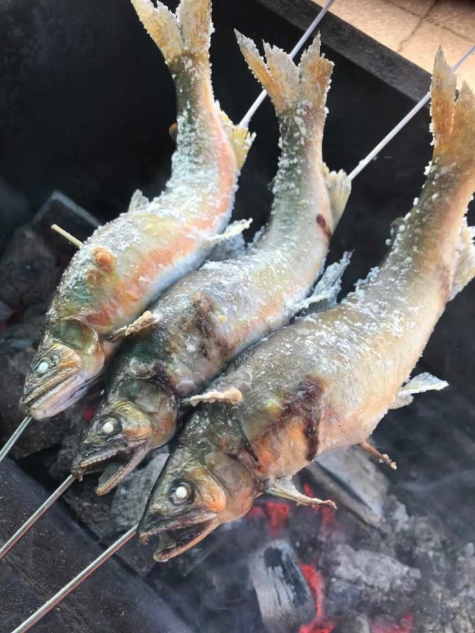 道の駅よって西土佐「鮎市場」で食べられる四万十川天然鮎の塩焼き