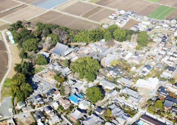 「大本山善導寺」境内の空撮画像